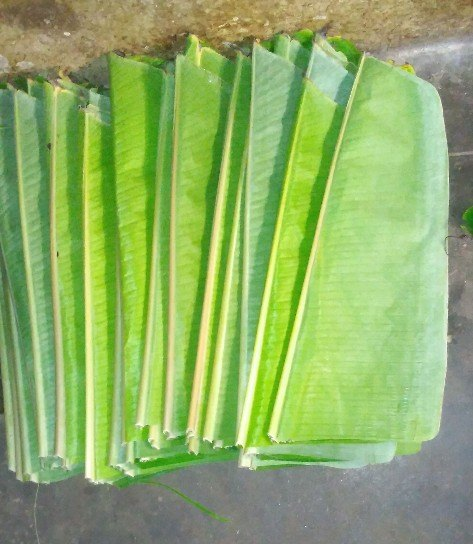 Banana Leafs product showcase