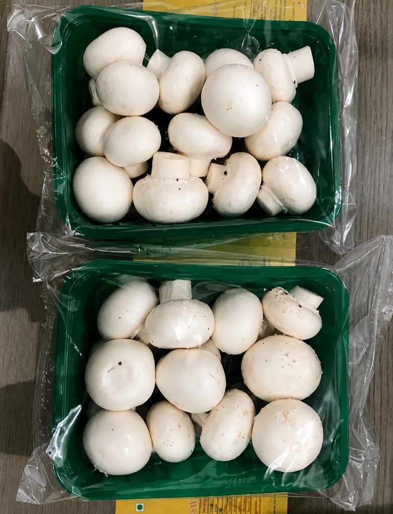 Mushroom product showcase