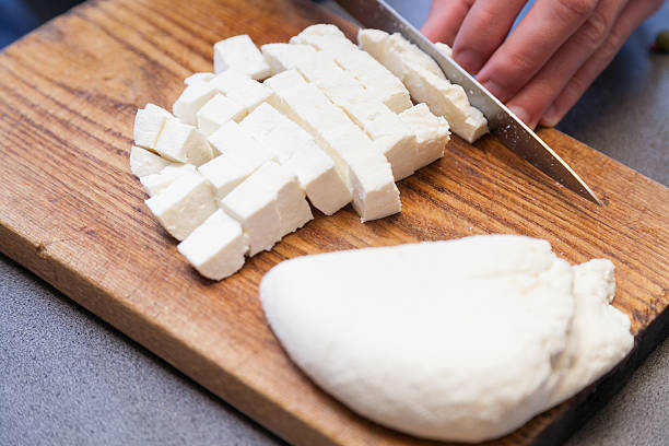 Paneer product showcase