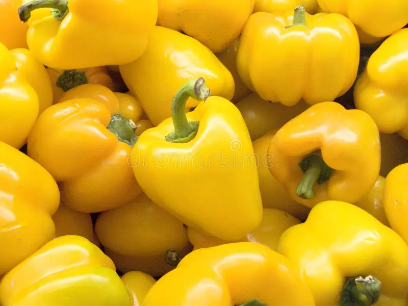 Yellow capsicum product showcase